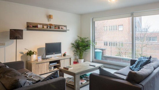 Heistraat - 249 - - 2610