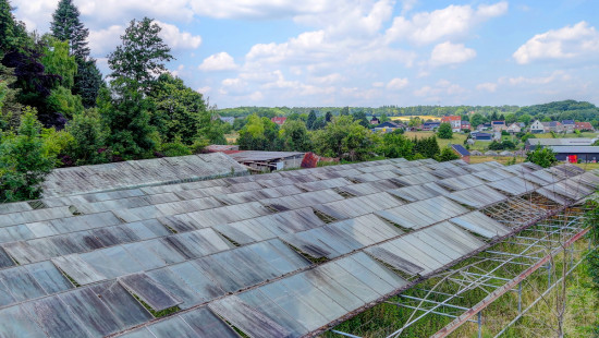 Schapenweg - 74 - - 3090