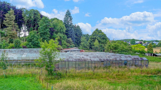Schapenweg - 74 - - 3090