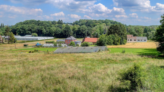 Schapenweg - 74 - - 3090