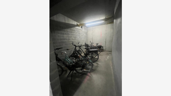 Albert Saverysstraat - 2 - 14 - 8790