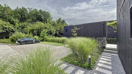 Rue des Petites Roches - 87 - - 4000