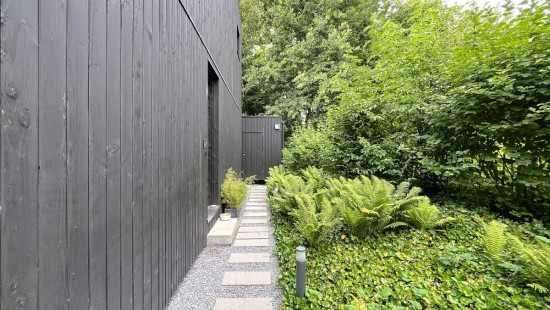 Rue des Petites Roches - 87 - - 4000