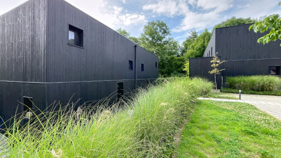 Rue des petites roches - 85 - - 4000