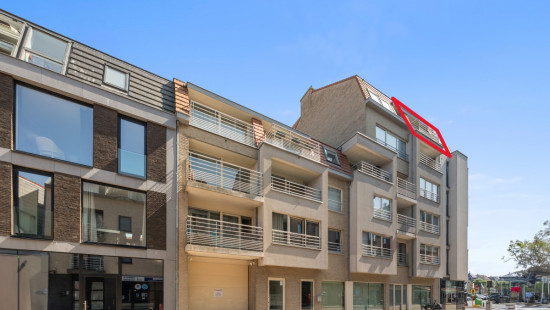 S. Vernieuwestraat - 6 - 502 - 8370