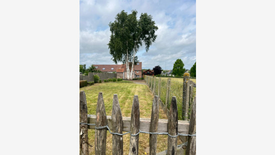 Geraardsbergsesteenweg - 604 - - 9400