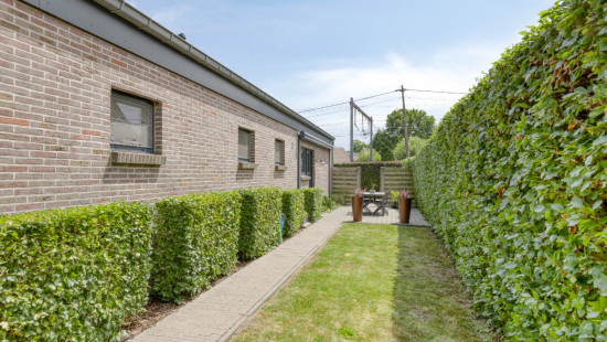 Heidebloem - 12 - - 2500