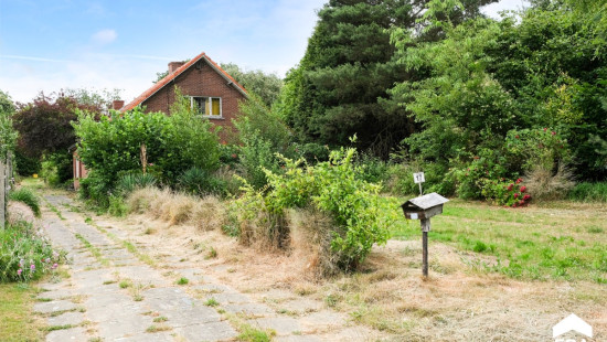 Herentalsesteenweg - 17 - - 2230