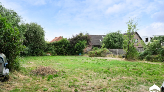 Herentalsesteenweg - 17 - - 2230