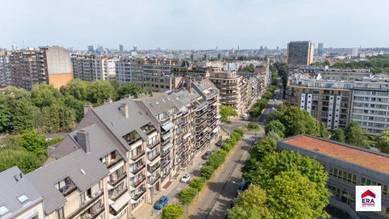 Avenue du Château - 124 - A5.6 - 1081