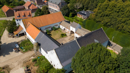 Langstraat - 80 - - 3350