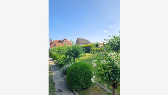 Bellegemstraat - 54 - - 8550