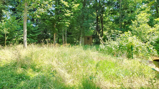 Allée des Écureuils - 74 - - 5620