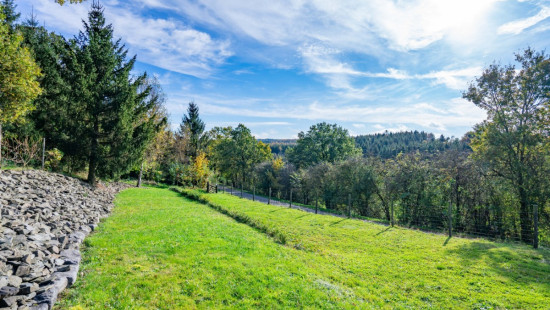 route du gros Bouchy - 54 - - 6687