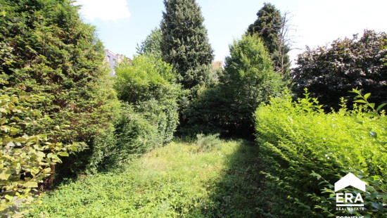Avenue des Crocus - 6 - 1 - 1070