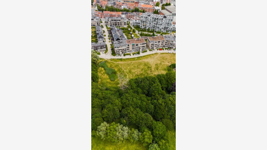 Albert Schweitzerstraat - 34 - 103 - 9000