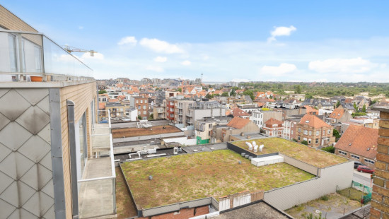 Markt - 20 - 0801 - 8660