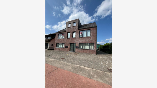 Worteldorp - 49 - 4 - 2323