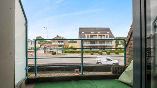 Donklaan - 249 - 2 - 9290