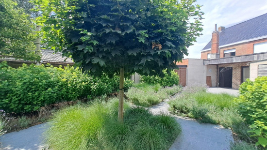 Otegemse Steenweg - 124 - - 8540