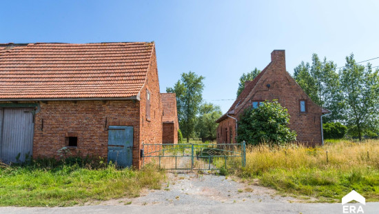 Reningestraat - 8 - - 8904