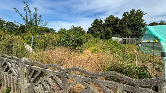 Potterijstraat - 156 - - 3300