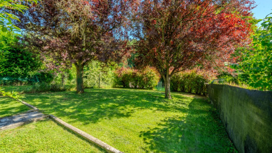 Rue de Najauge - 29 - - 5670