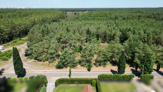 Gelderhorsten - 43 - - 3920