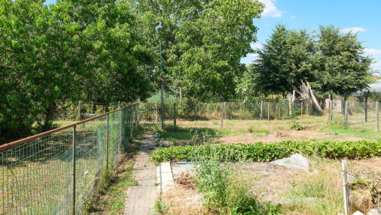 Eduard Dompasstraat - 44 - - 3570