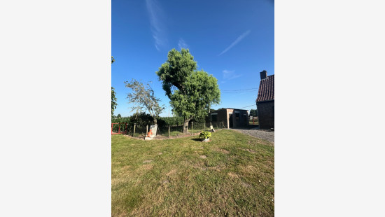 Egemsestraat - 57 - - 8851