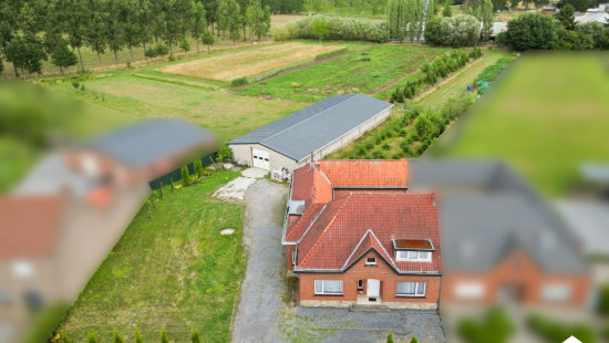 Runkelen-Dorp - 81 - - 3803