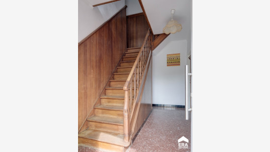 Runkelen-Dorp - 81 - - 3803