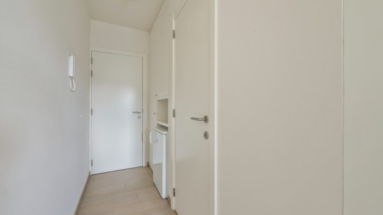 Doornstraat - 223 - 2.7 - 2610