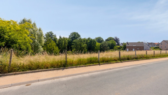 Rue du Try - 40C - - 1495