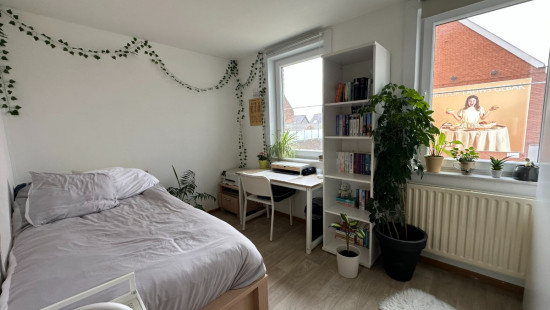 Leiestraat - 3D - - 8930