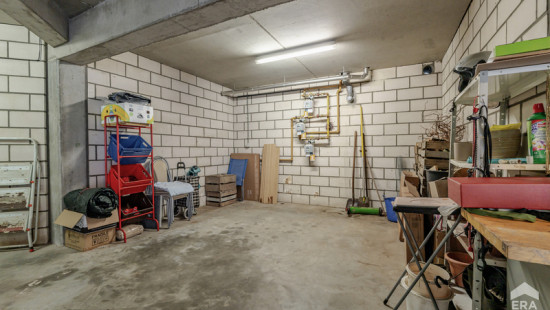 Reinpadstraat - 98 - 1.1 - 3600