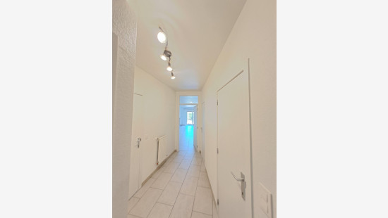 Doorniksesteenweg - 537 - 2 - 8583
