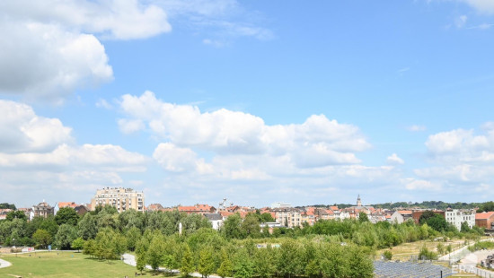 Drève du Parc - 45 - 0 - 1000