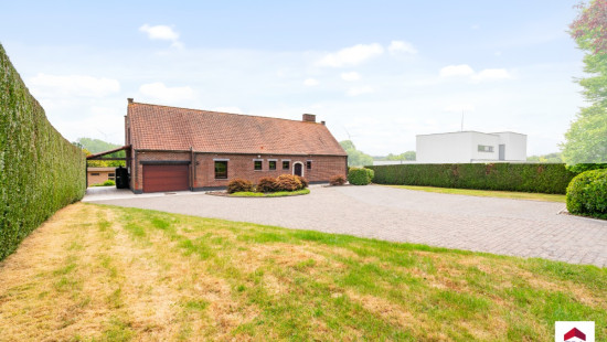 Mierenberg - 79 - - 1500