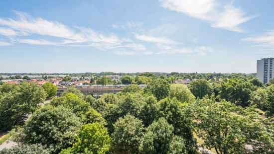 Koningin Fabiolapark - 851 - - 9100