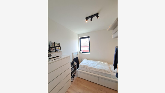 Sint-Rochusstraat - 42 - 0102 - 8540