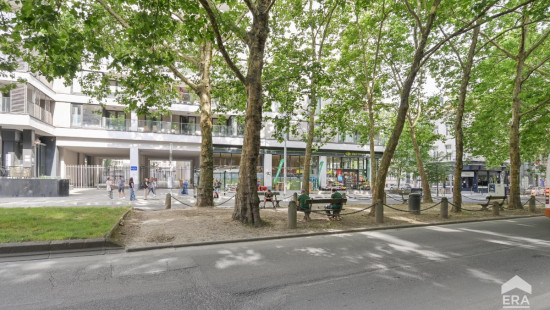 Avenue Livingstone - 6 - - 1000