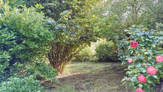 Rue du Pré Wéron - 14 - - 4460