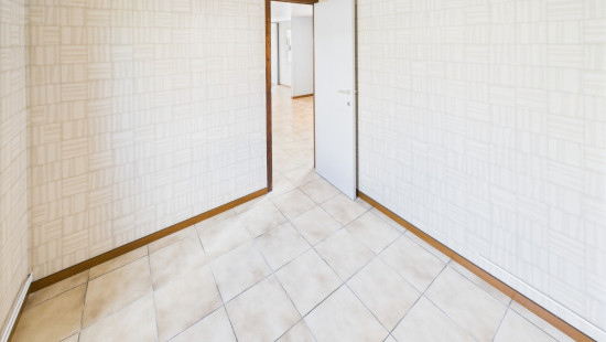Rue des Bergeronnettes - 51 - - 5377
