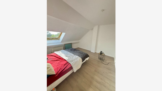 Rue du Fort - 20 - - 7780