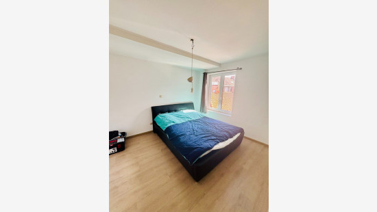 Rue du Fort - 20 - - 7780