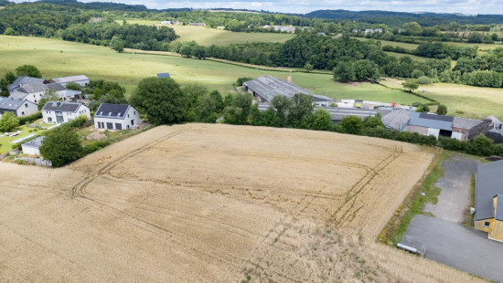 Des blés - 44 - LOT 2 - 6717