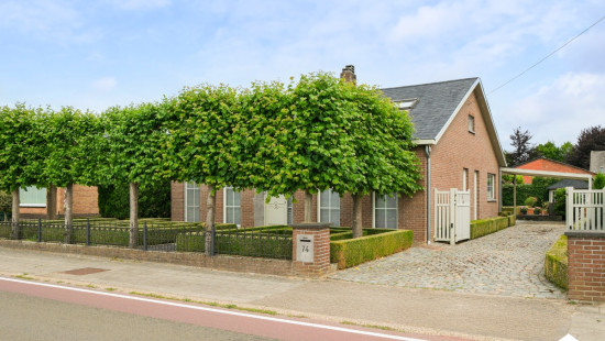 Holvenstraat - 74 - - 3900