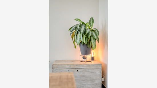 Loverstraat - 29 - - 8710