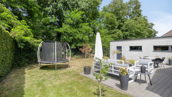 Heidebloem - 12 - - 2500